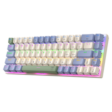 T-DAGGER VIATOR T-TGK325 60% Wired Rainbow Mechanical Gaming Keyboard