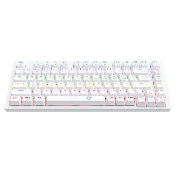 T-DAGGER T-TGK326-BR Wired Rainbow Backlight Mechanical Keyboard